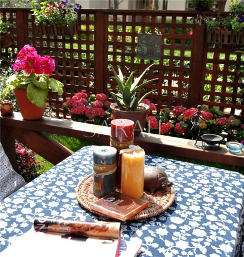 花園設計“園集獎”優秀作品:薩拉的花園