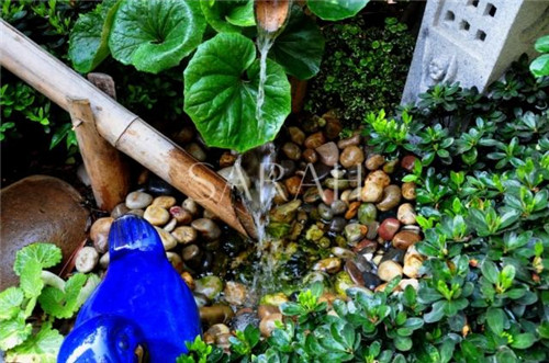 花園設計“園集獎”優秀作品:薩拉的花園