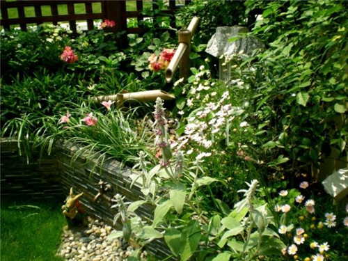 花園設計“園集獎”優秀作品:薩拉的花園