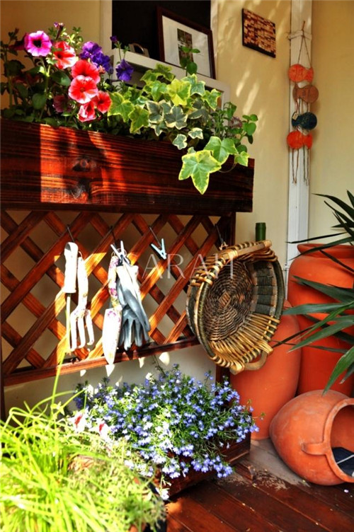 花園設計“園集獎”優秀作品:薩拉的花園