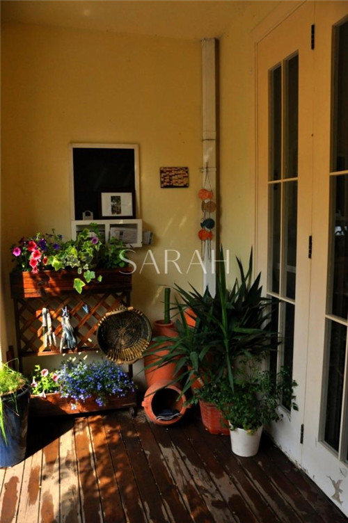 花園設計“園集獎”優秀作品:薩拉的花園