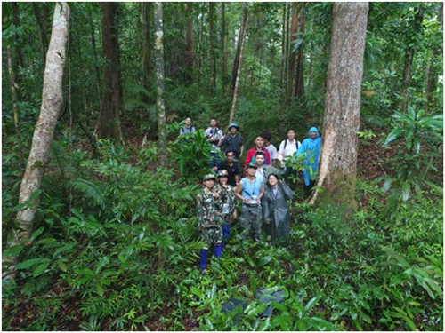西雙版納植物園推進東經101度森林樣帶工作