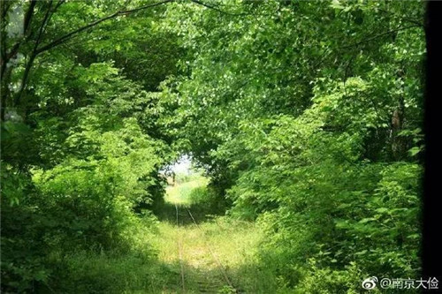 南京這家鐵礦被改成國家礦山公園 