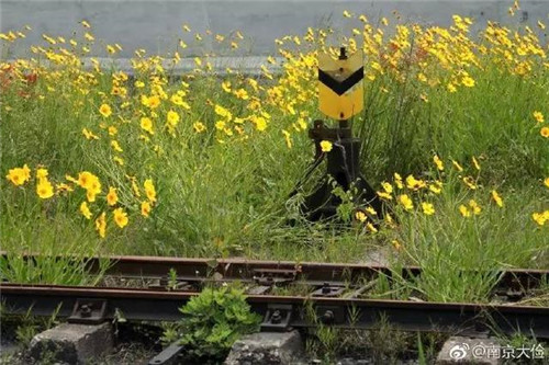 南京這家鐵礦被改成國家礦山公園 