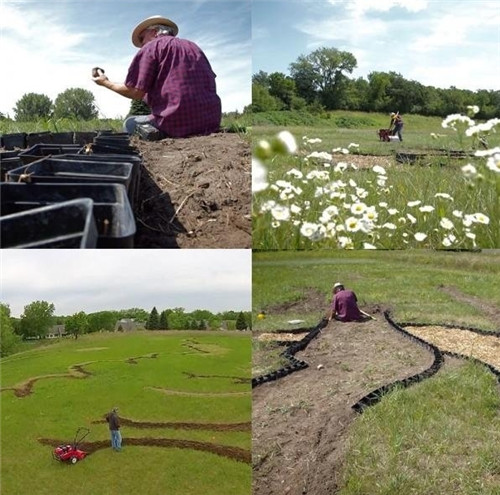 老農民用植物種出一副梵高名畫