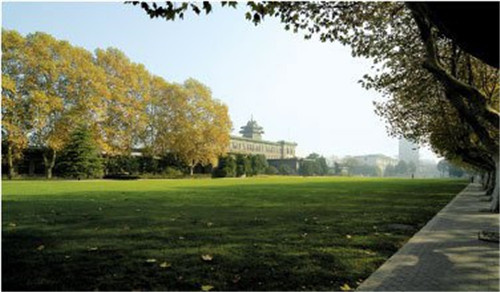 南京農大農業、植物與動物學躋身世界前列