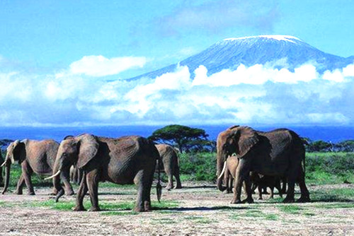 你不知道的國家公園的前世今生(組圖)