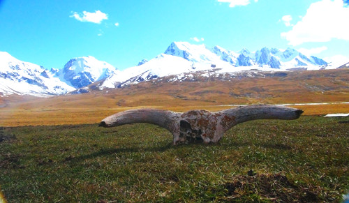 你不知道的國家公園的前世今生(組圖)