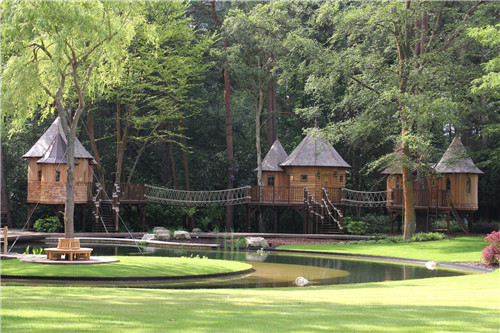 “藍森林”樹屋給你樹梢間生活的神奇體驗