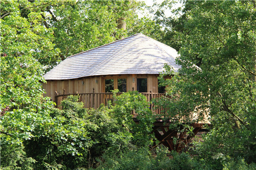 “藍森林”樹屋給你樹梢間生活的神奇體驗