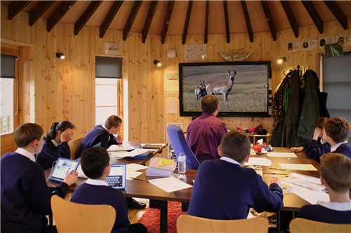 “藍(lán)森林”樹(shù)屋給你樹(shù)梢間生活的神奇體驗(yàn)