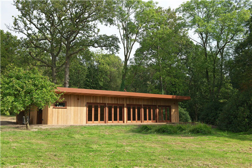 “藍森林”樹屋給你樹梢間生活的神奇體驗