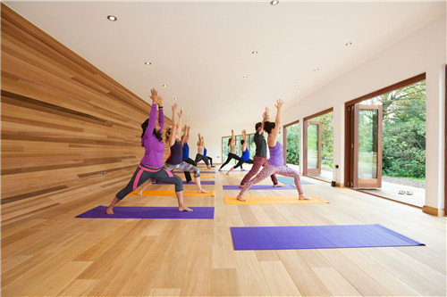 “藍森林”樹屋給你樹梢間生活的神奇體驗