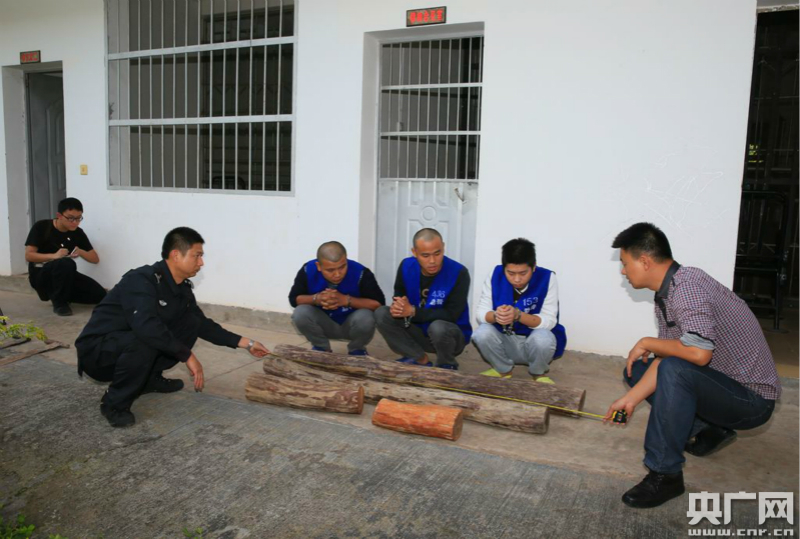 盜竊西雙版納植物園黃花梨的罪犯被判刑