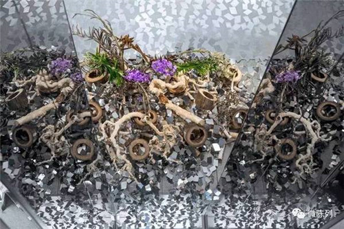 設計師用棱鏡打造出“萬花筒中的常春藤”