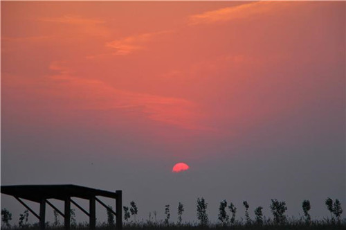 鳥類天堂——河北唐山曹妃甸濕地