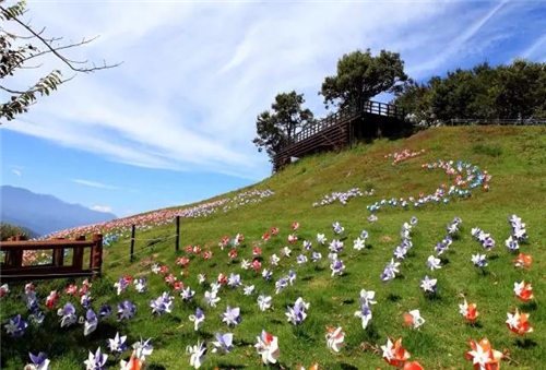 國際動態：觀光農業景觀設計