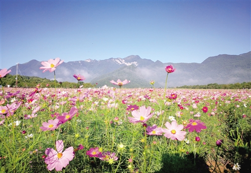 神農架國家森林公園：以綠為底 繪出好風景