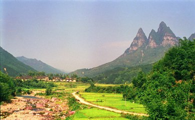 有“小西雙版納”之稱的大平山自然保護區