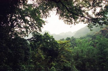 有“小西雙版納”之稱的大平山自然保護區