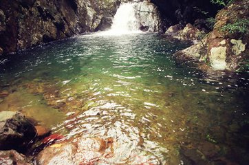 有“小西雙版納”之稱的大平山自然保護區