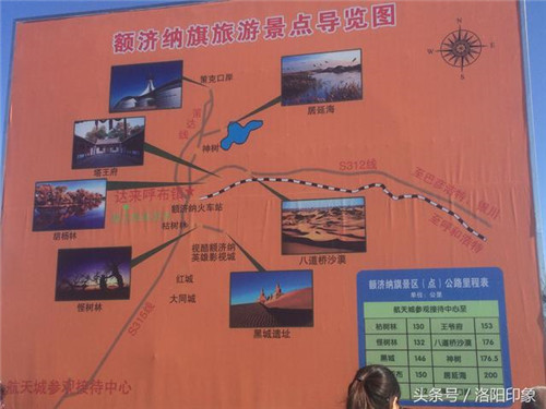 內(nèi)蒙古自治區(qū)額濟(jì)納旗胡楊之美