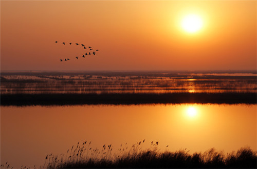 我國東部沿海保存最為完好的生態區之一