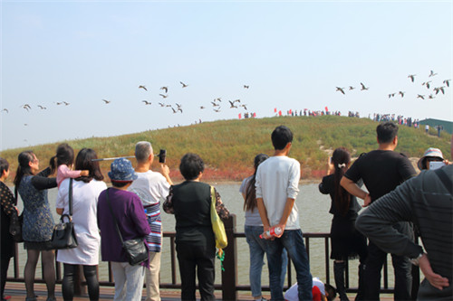 我國東部沿海保存最為完好的生態區之一