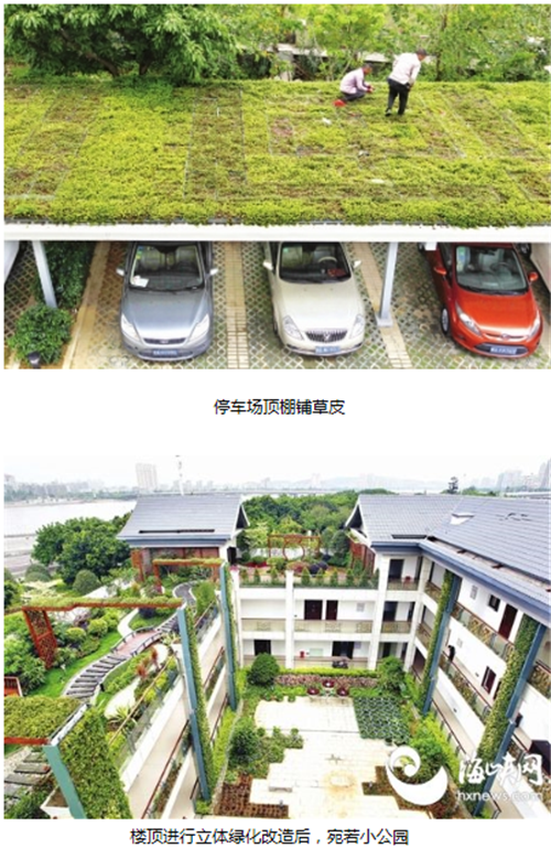 福州閩江公園游客中心建屋頂綠化示范點
