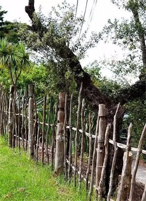 籬笆的幾種設計風格,讓你的小院別有情致