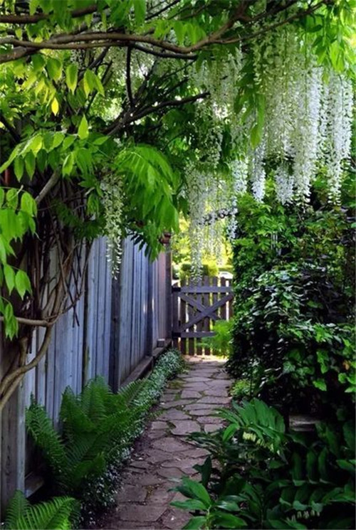 籬笆的幾種設計風格,讓你的小院別有情致