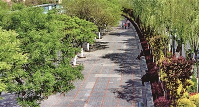 建設海綿城市 崇尚綠色發展