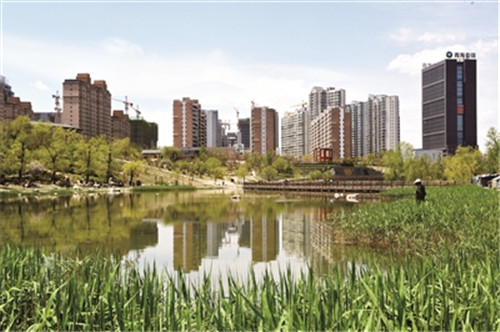 建設海綿城市 崇尚綠色發展