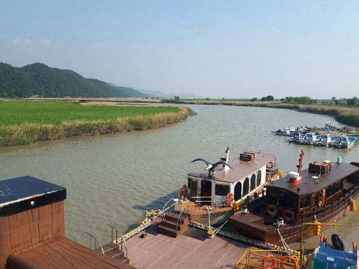 韓國順天灣濕地的秘密