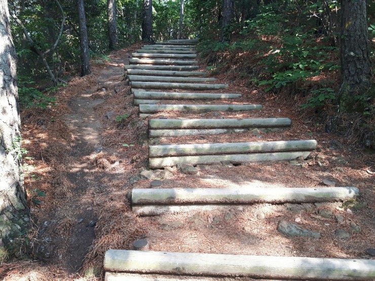 韓國順天灣濕地的秘密