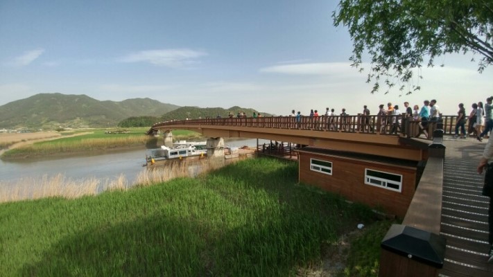 韓國順天灣濕地的秘密