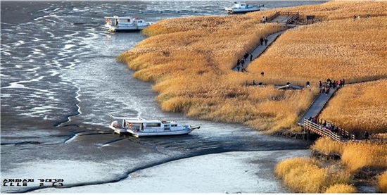 韓國(guó)順天灣濕地的秘密