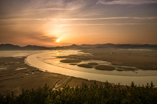 韓國(guó)順天灣濕地的秘密