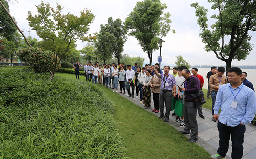 杭州園林：特色蘊于細節，匠心鑄就精品