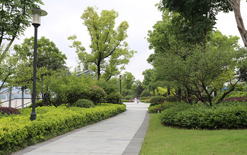 杭州園林：特色蘊于細節，匠心鑄就精品