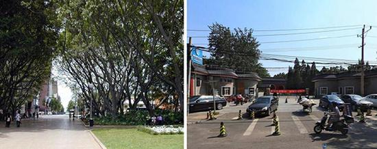 街道設計可以讓生活更健康