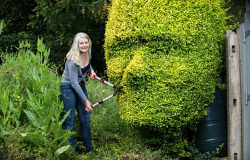 英女子展園藝才能 將樹籬做成人臉造型