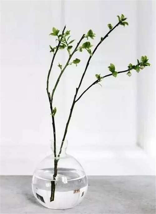 幾款快手插花,讓家迅速變美