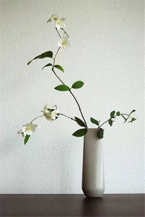 幾款快手插花,讓家迅速變美