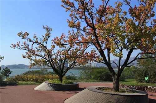 超腦洞的景觀設計:有趣的園林小品