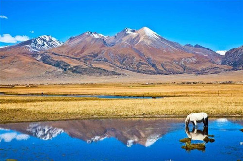 中國最美的十大自然保護區