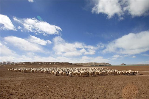中國最美的十大自然保護區