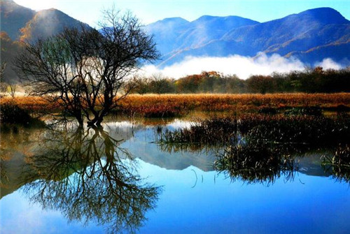 中國最美的十大自然保護區