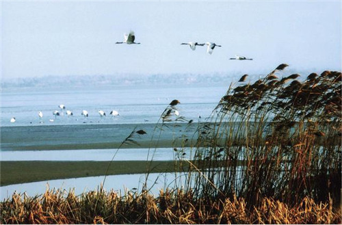 中國最美的十大自然保護區(qū)