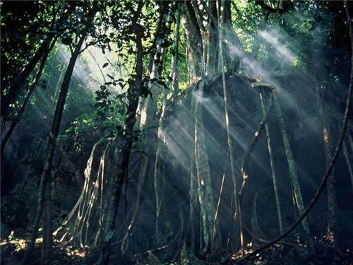 中國最美的十大自然保護區(qū)